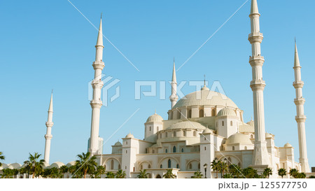 The new Sheikh Zayed Grand Mosque in Fujairah, United Arab Emirates The new Sheikh Zayed Grand Mosque in Fujairah, United Arab Emirates 125577750