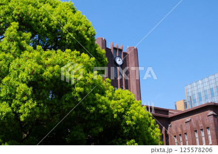 東京大学安田講堂 125578206