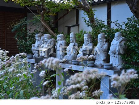 革堂　藤袴と七福神 125578989