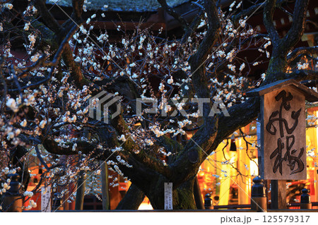 太宰府天満宮の朝 125579317