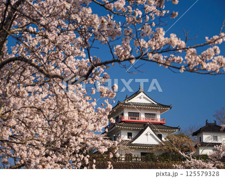 涌谷町 城山公園の桜 涌谷町 城山公園の桜 125579328
