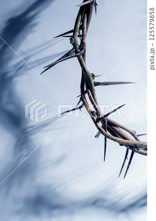 Crown of thorns casting a distinct shadow on a white background, creating a symbolic easter image of suffering, sacrifice, and remembrance Copy space for text good friday Crown of thorns casting a distinct shadow on a white background, creating a symbolic easter image of suffering, sacrifice, and remembrance Copy space for text good friday 125579858
