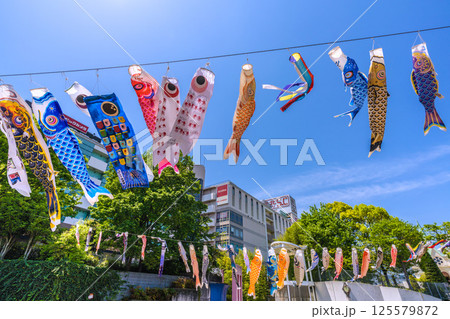 日本の横浜都市景観　地下鉄　「センター南駅」前の鯉のぼりなどを望む 125579872