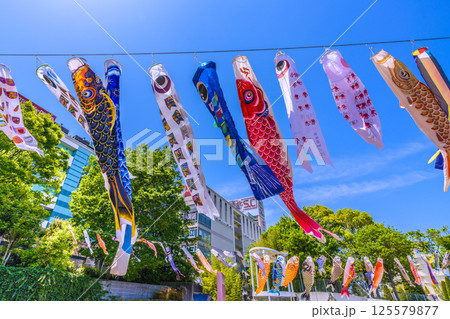 日本の横浜都市景観　地下鉄　「センター南駅」前の鯉のぼりなどを望む 125579877