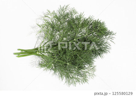 収穫したばかりのディル一束 125580129