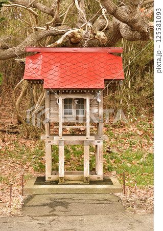 春の北海道函館市で志海苔八幡神社境内の風景を撮影 125581093