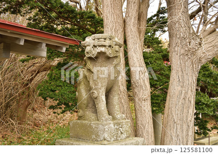 春の北海道函館市で志海苔八幡神社境内の風景を撮影 春の北海道函館市で志海苔八幡神社境内の風景を撮影 125581100
