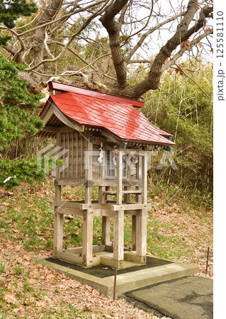 春の北海道函館市で志海苔八幡神社境内の風景を撮影 春の北海道函館市で志海苔八幡神社境内の風景を撮影 125581110