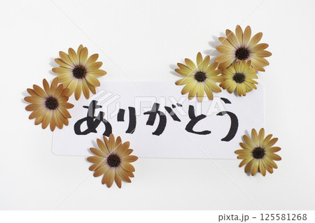 オレンジ色の花で装飾したありがとうのメッセージ オレンジ色の花で装飾したありがとうのメッセージ 125581268