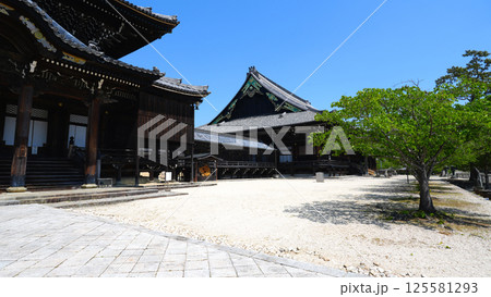 専修寺 津市一身田町 専修寺 津市一身田町 125581293