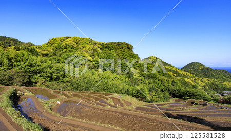 富士山の見える伊豆半島の石部の棚田 富士山の見える伊豆半島の石部の棚田 125581528
