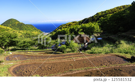 富士山の見える伊豆半島の石部の棚田 125581532