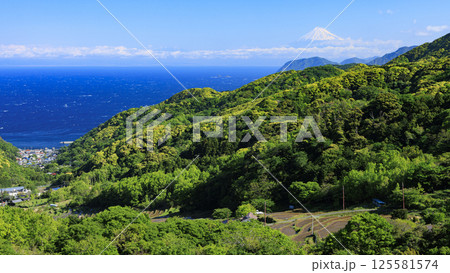 富士山の見える伊豆半島の石部の棚田 125581574
