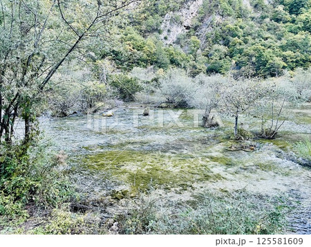 穏やかな小川が流れる　樹正群海 125581609