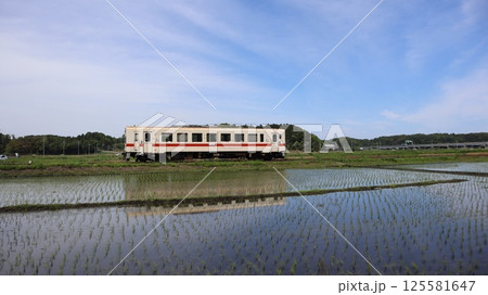 水を入れた田んぼの中を走る汽車 ひたちなか海浜鉄道 水を入れた田んぼの中を走る汽車 ひたちなか海浜鉄道 125581647