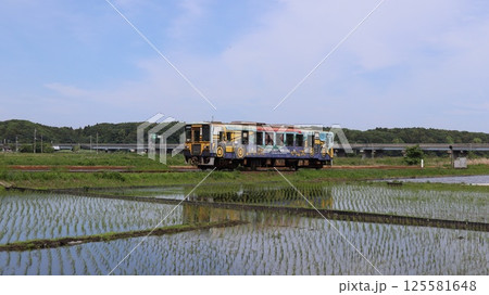 水を入れた田んぼの中を走る汽車　ひたちなか海浜鉄道 125581648