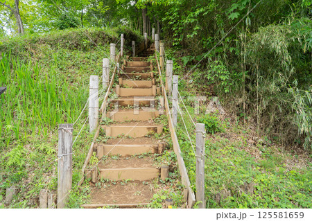 小野路城跡の入口(多摩丘陵) 小野路城跡の入口(多摩丘陵) 125581659