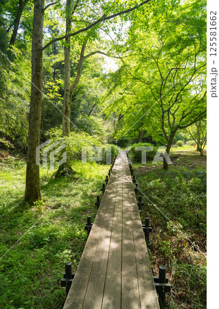 小山田の谷（多摩丘陵） 125581662