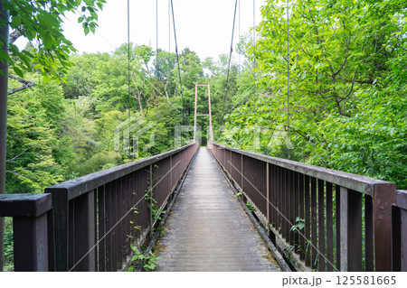 小山田緑地の吊橋（多摩丘陵） 125581665