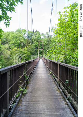 小山田緑地の吊橋（多摩丘陵） 125581666