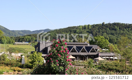 薔薇の咲く風景 いばらきフラワーパーク 薔薇の咲く風景 いばらきフラワーパーク 125581712