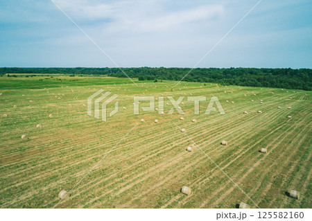 A vast green field is dotted with round bales of hay, neatly arranged in rows A vast green field is dotted with round bales of hay, neatly arranged in rows 125582160