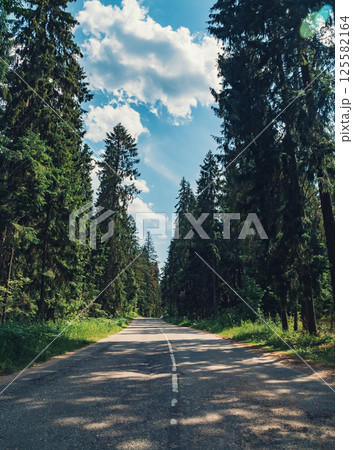 Long winding road surrounded by tall evergreen trees under a bright blue sky on a sunny day 125582164
