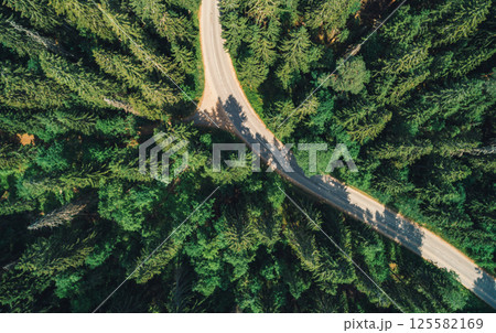 Aerial view of a winding road through a dense forest in the morning light Aerial view of a winding road through a dense forest in the morning light 125582169