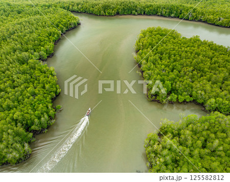 Amazing abundant mangrove forest, Aerial view of forest trees Rainforest ecosystem and healthy environment background, Texture of green trees forest top down,High angle view wide angle lens Amazing abundant mangrove forest, Aerial view of forest trees Rainforest ecosystem and healthy environment background, Texture of green trees forest top down,High angle view wide angle lens 125582812