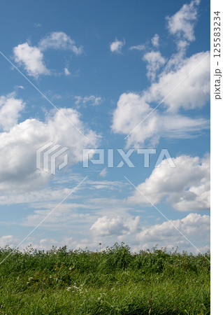 緑の牧草畑と青空 125583234