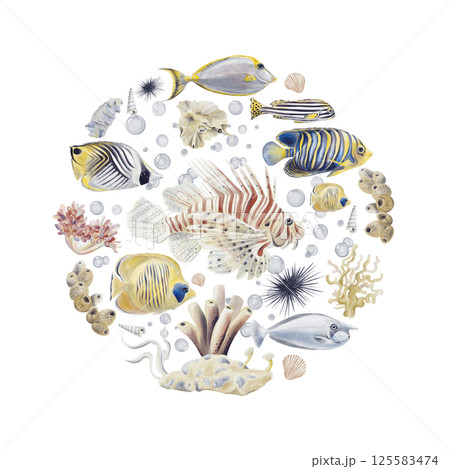 Set of exotic tropical fish. Medallion with sea animals. Coral reef. Round composition with a sea plot. Watercolor illustration without background. Hand drawing. High quality illustration Set of exotic tropical fish. Medallion with sea animals. Coral reef. Round composition with a sea plot. Watercolor illustration without background. Hand drawing. High quality illustration 125583474