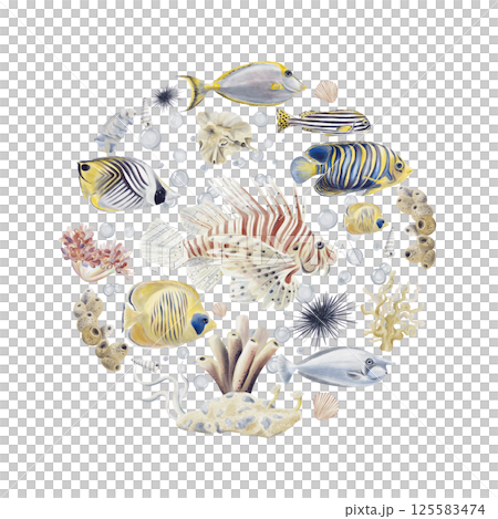 Set of exotic tropical fish. Medallion with sea animals. Coral reef. Round composition with a sea plot. Watercolor illustration without background. Hand drawing. High quality illustration 125583474