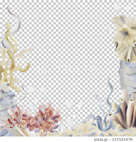 Frame and template with seabed and reef. Underwater world with flowers and seaweed. Sand with pebbles and sea sponge. Marine plants. Watercolor illustration without background. Hand drawing.  125583476