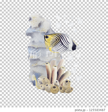 Exotic fish on a coral reef background. Striped bright fish. Seabed with sponges, flowers and stones. Underwater world. Watercolor illustration without background, hand drawing. Exotic fish on a coral reef background. Striped bright fish. Seabed with sponges, flowers and stones. Underwater world. Watercolor illustration without background, hand drawing. 125583487