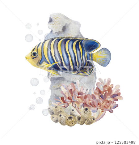 Exotic fish. Emperor angelfish with blue and yellow coloring and striped pattern. Reef with corals and sponges. Sea and ocean landscape. Air bubbles under water. Watercolor illustration. Hand drawing Exotic fish. Emperor angelfish with blue and yellow coloring and striped pattern. Reef with corals and sponges. Sea and ocean landscape. Air bubbles under water. Watercolor illustration. Hand drawing 125583499