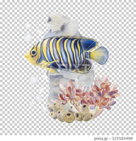 Exotic fish. Emperor angelfish with blue and yellow coloring and striped pattern. Reef with corals and sponges. Sea and ocean landscape. Air bubbles under water. Watercolor illustration. Hand drawing Exotic fish. Emperor angelfish with blue and yellow coloring and striped pattern. Reef with corals and sponges. Sea and ocean landscape. Air bubbles under water. Watercolor illustration. Hand drawing 125583499