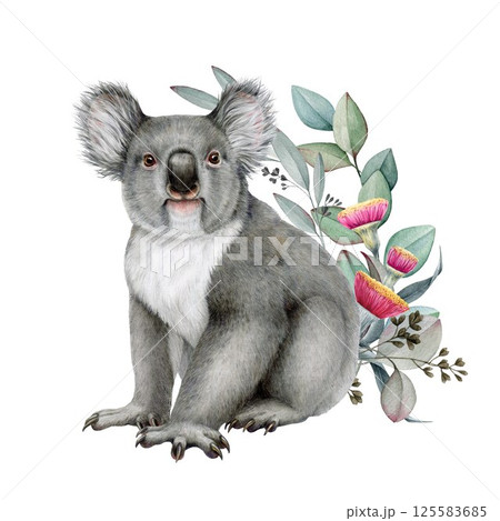 Koala bear with eucalyptus leaves decor watercolor illustration. Hand drawn cute koala Australia symbol with eucalyptus leaf decoration. Australian native marsupial mammal on white background 125583685