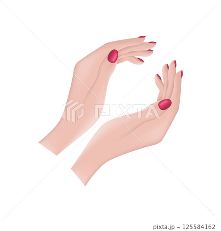 Female hands. An image of beautiful female hands. The hands of a woman with painted nails. The girl s hands. Vector illustration 125584162