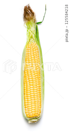 Fresh corn on white background Fresh corn on white background 125584218