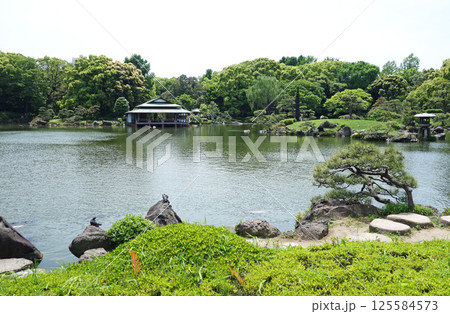 清澄庭園の大泉水と涼亭（東京都江東区） 125584573