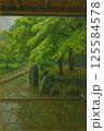 雨の日の公園 125584578