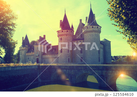 Chateau de Sully-sur-Loire, France 125584610