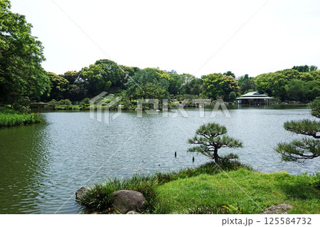 清澄庭園の大泉水と涼亭（東京都江東区） 125584732