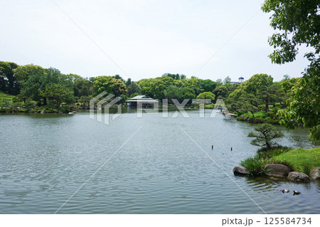 清澄庭園の大泉水と涼亭（東京都江東区） 125584734