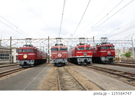 EF81形電気機関車 125584747