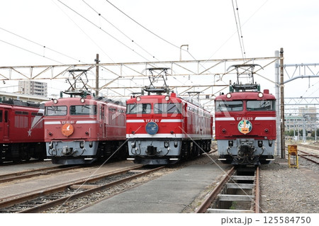 EF81形電気機関車 125584750