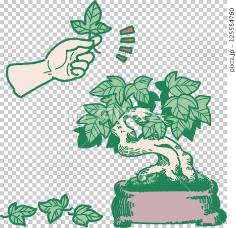 盆景葉子採摘和護理的插圖 125584760