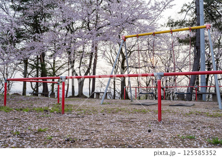 【水道山公園】夕方の桜の咲く公園 125585352