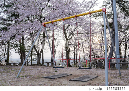 【水道山公園】夕方の桜の咲く公園 125585353