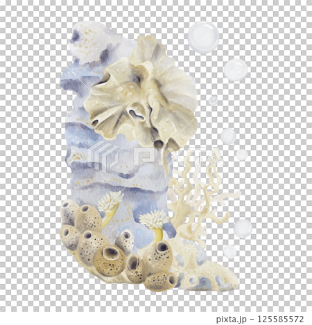 Coral reef with plants and animals. Sea rock with sponges, kelp and corals. Sand with pebbles. Bubbles in the background. Watercolor illustration isolated from the background. Hand drawing. Coral reef with plants and animals. Sea rock with sponges, kelp and corals. Sand with pebbles. Bubbles in the background. Watercolor illustration isolated from the background. Hand drawing. 125585572